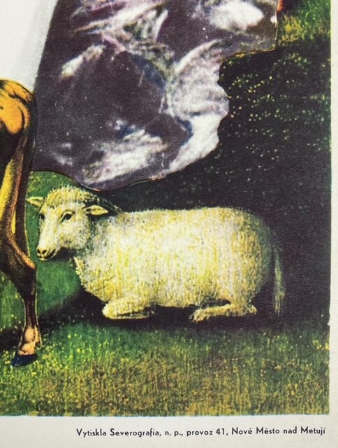 DAS MÄDCHEN AUF DEM BESEN Tschechisches Poster