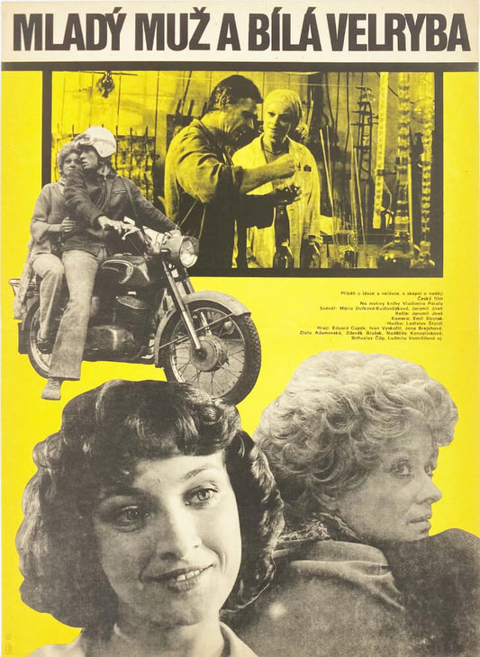 Der junge Mann und der weiße Wal