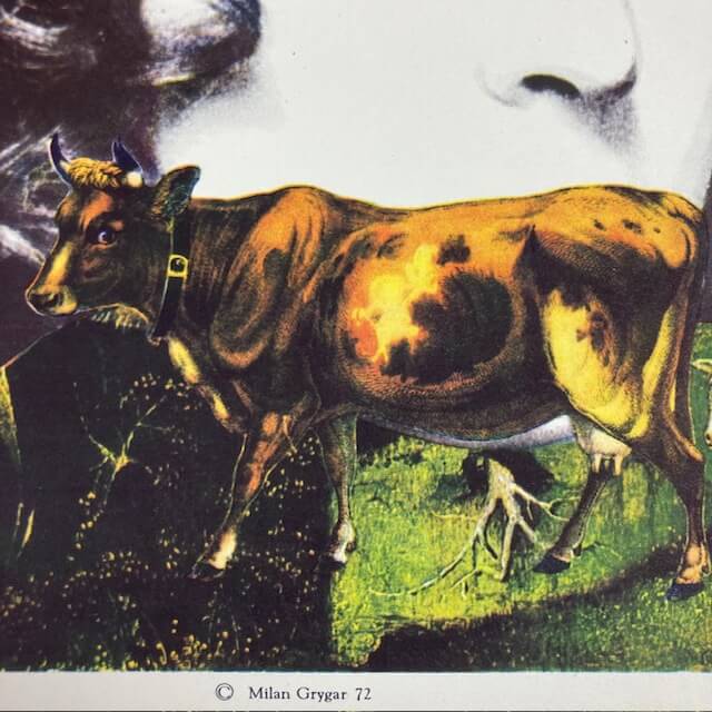 DAS MÄDCHEN AUF DEM BESEN Tschechisches Poster