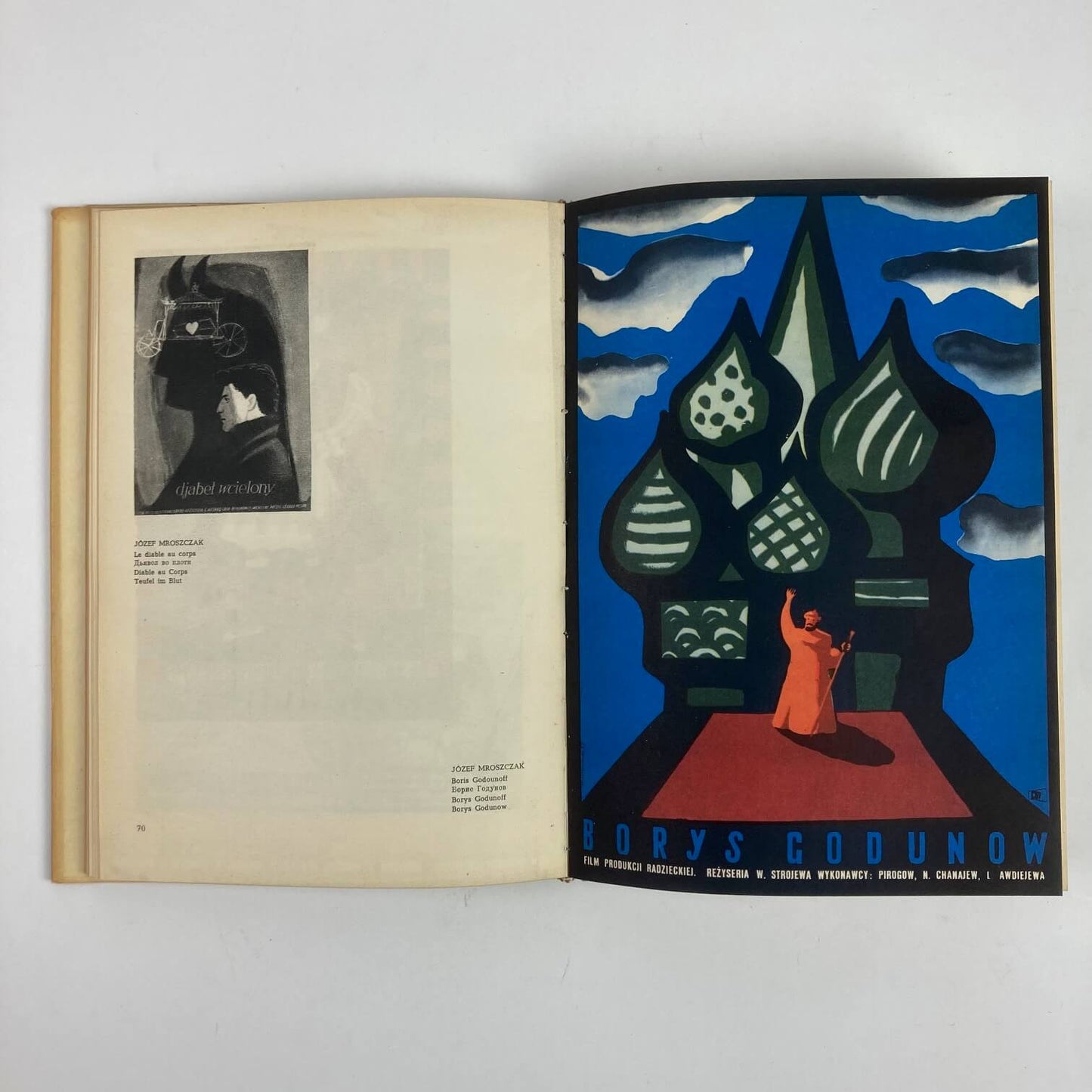 Das polnische Filmplakat (gebundenes Buch).