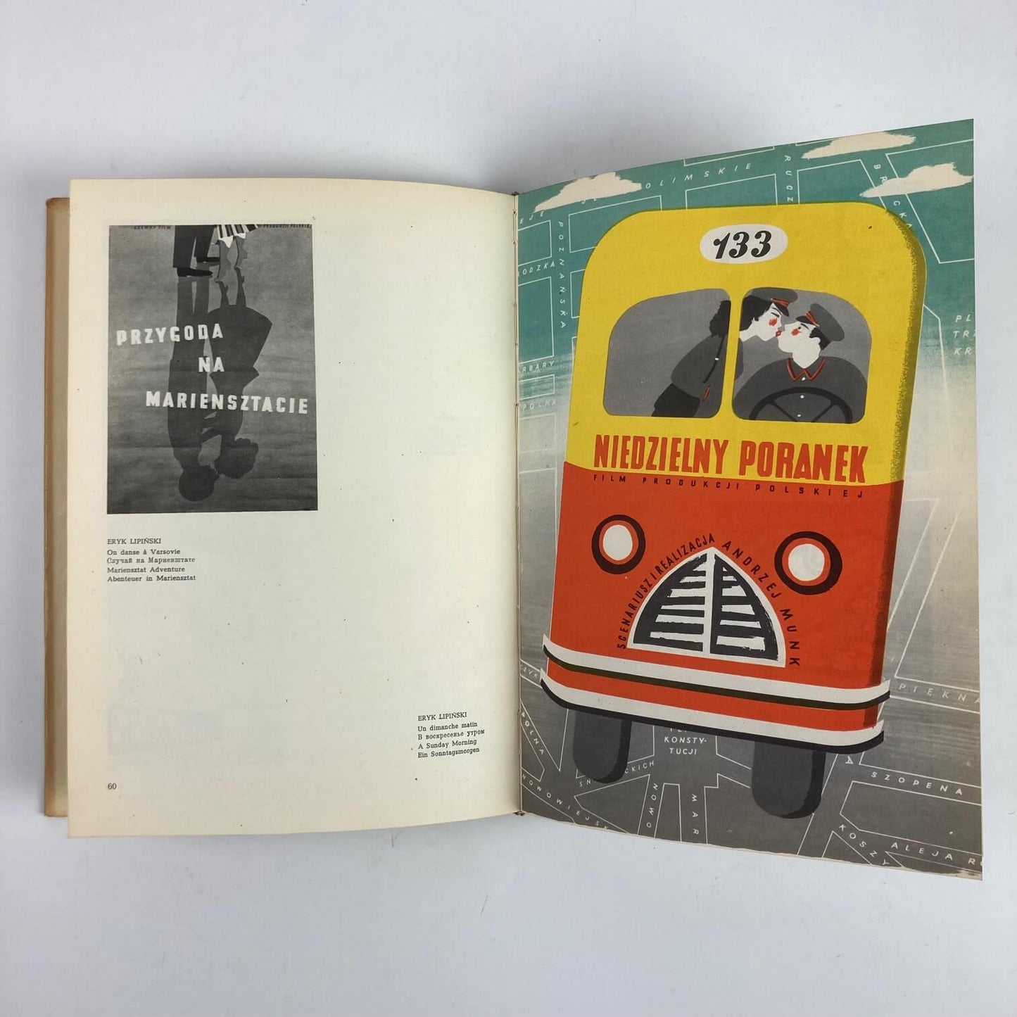 Das polnische Filmplakat (gebundenes Buch).