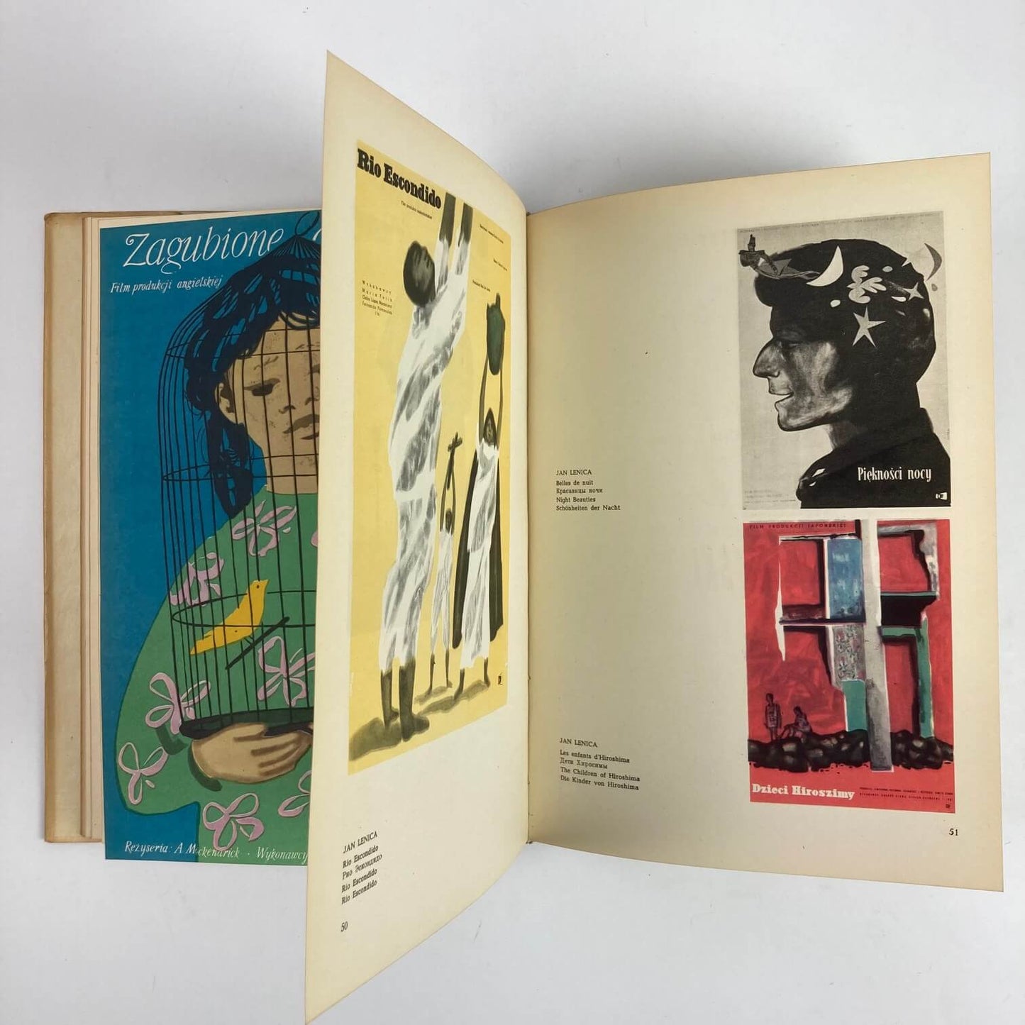 Das polnische Filmplakat (gebundenes Buch).