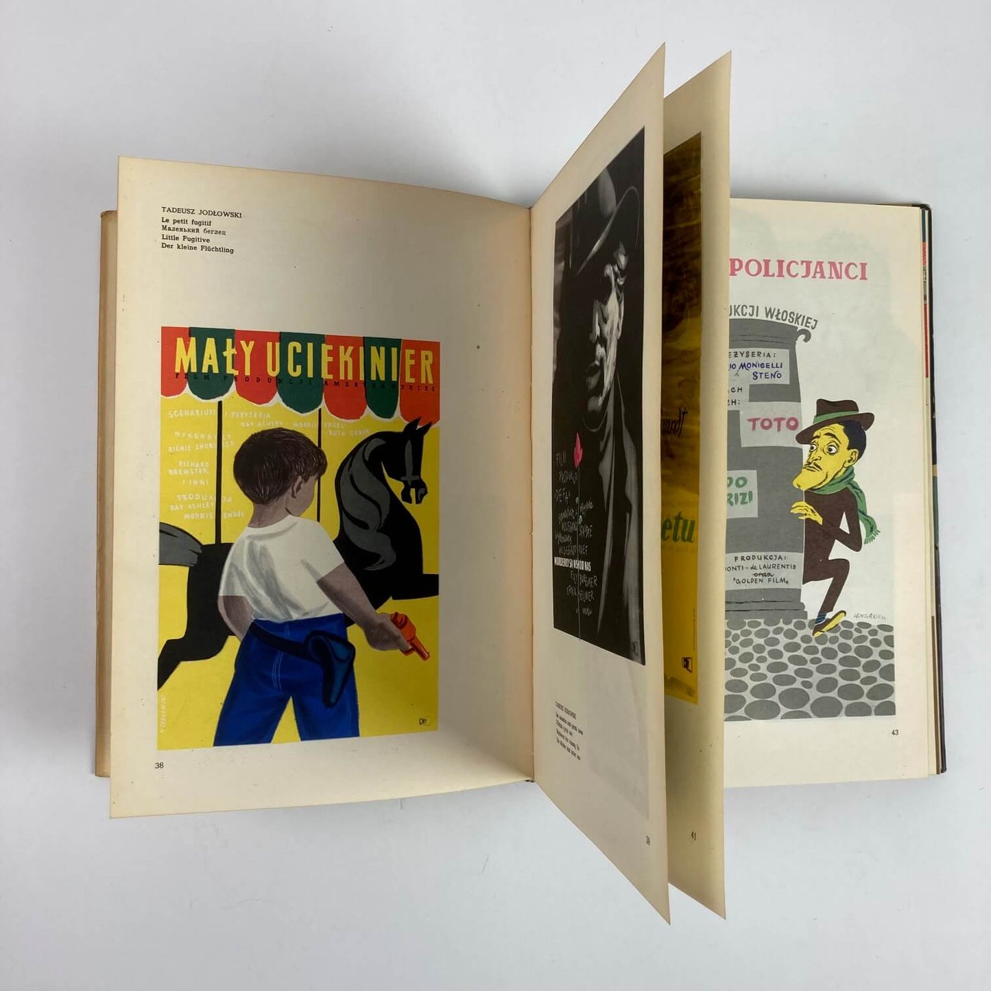 Das polnische Filmplakat (gebundenes Buch).