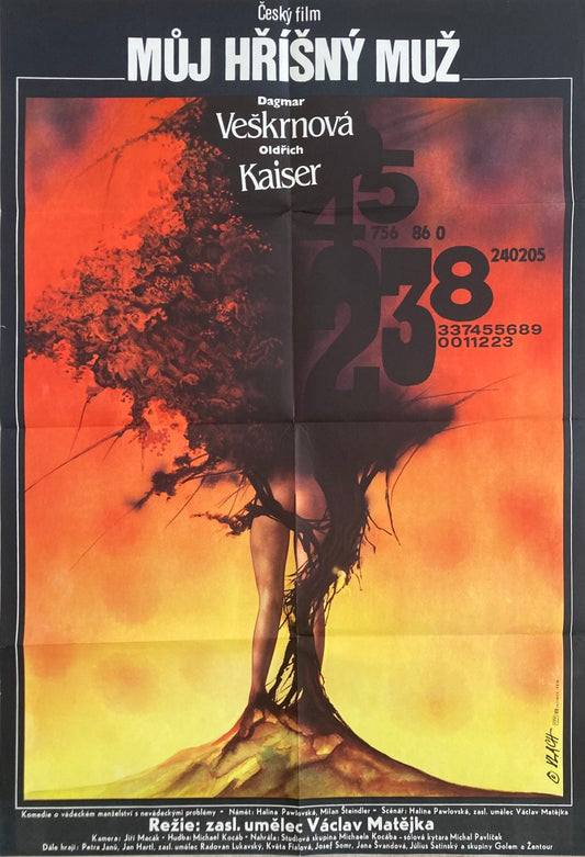 MY SINFUL HUSBAND (Muj Hrisny Muz) Czech Poster | Large